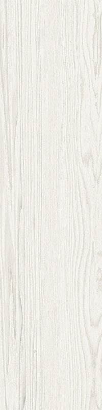 Acorn - Image 24